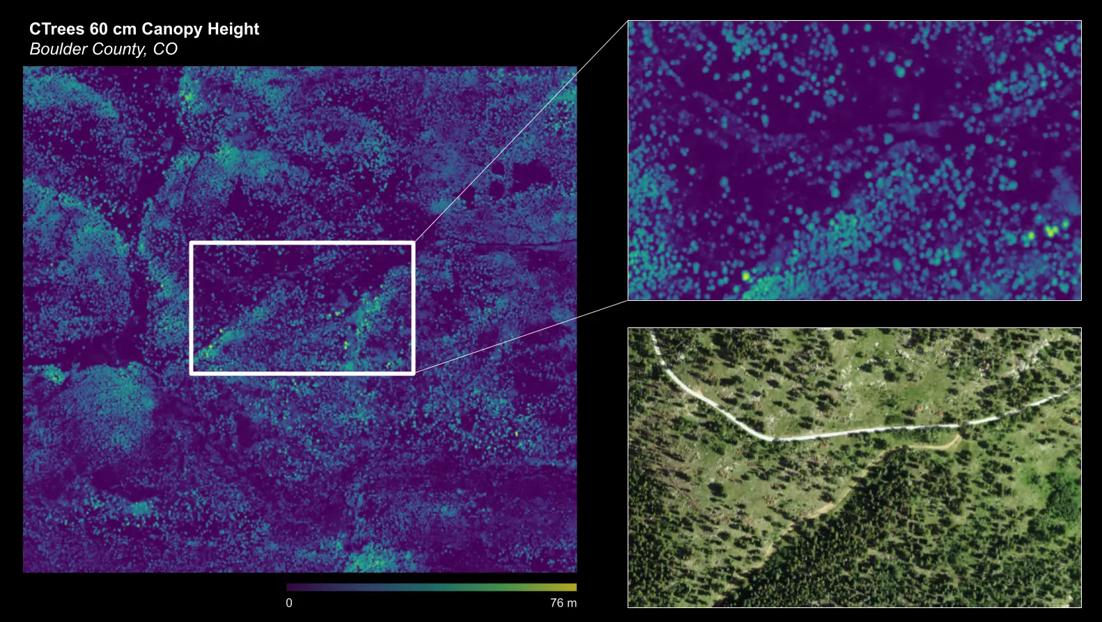 Canopy height map of Boulder, Colorado