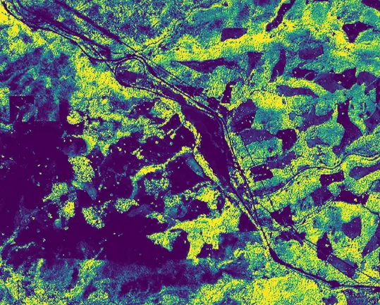 Forest Contrast Microscope 3-meter forest monitoring with Lens and Planet - Lens by Upstream Tech