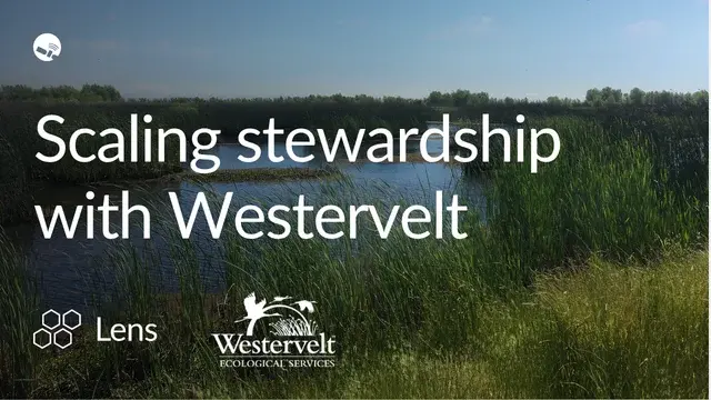 Scaling stewardship with Westervelt
