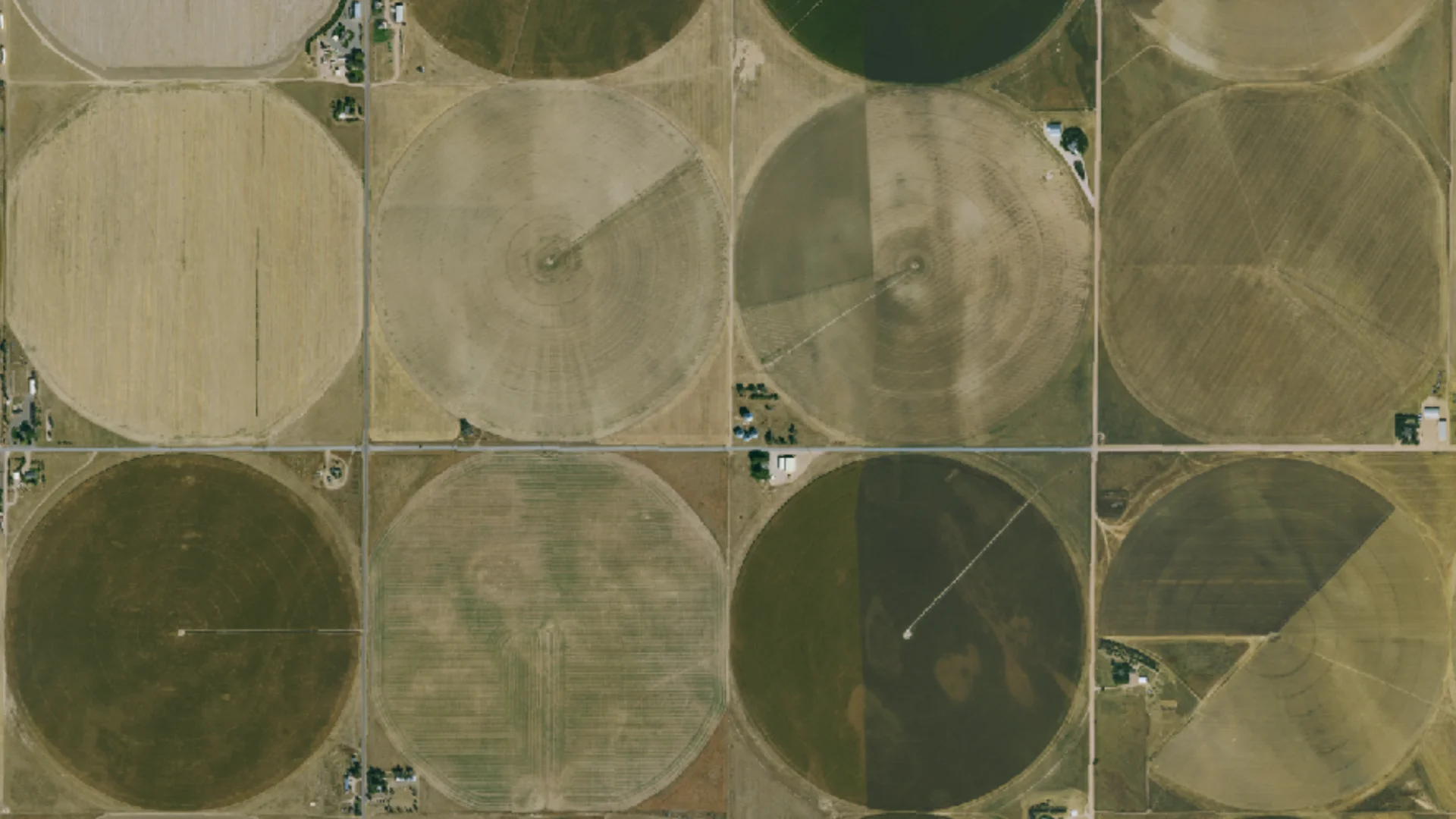 Evaluating agriculture at scale in Colorado