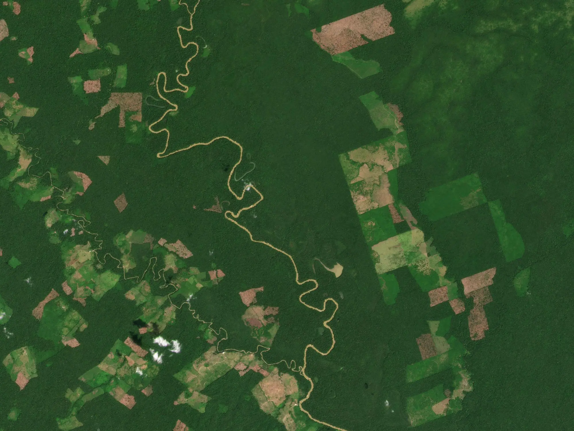 PlanetScope 2021 image of Chiribiquete National Park Deforestation