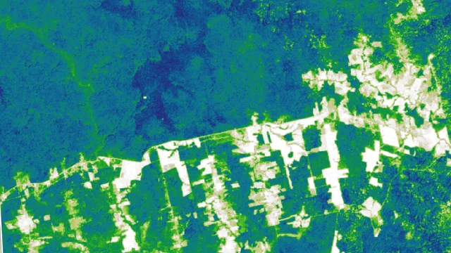 Forest carbon data for your entire Lens portfolio