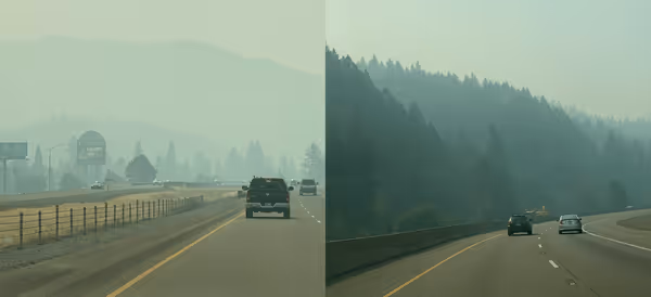 Fires, droughts, and birds: August on Interstate 5