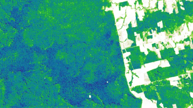 Earth observation for smarter nature-based investments