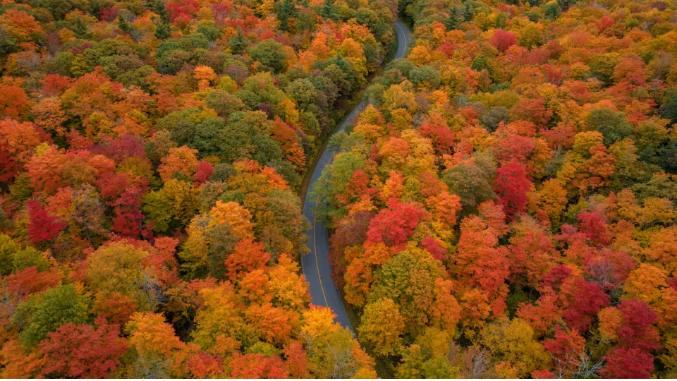 Lens Newsletter: October 2025
