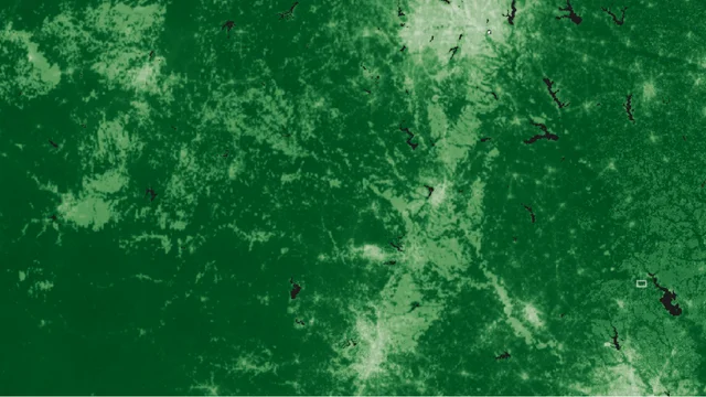 Navigating the nuances of biodiversity monitoring