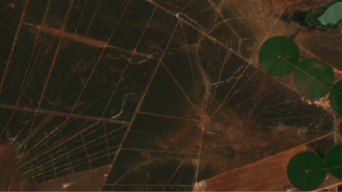 Webinar: Remote monitoring for African conservation