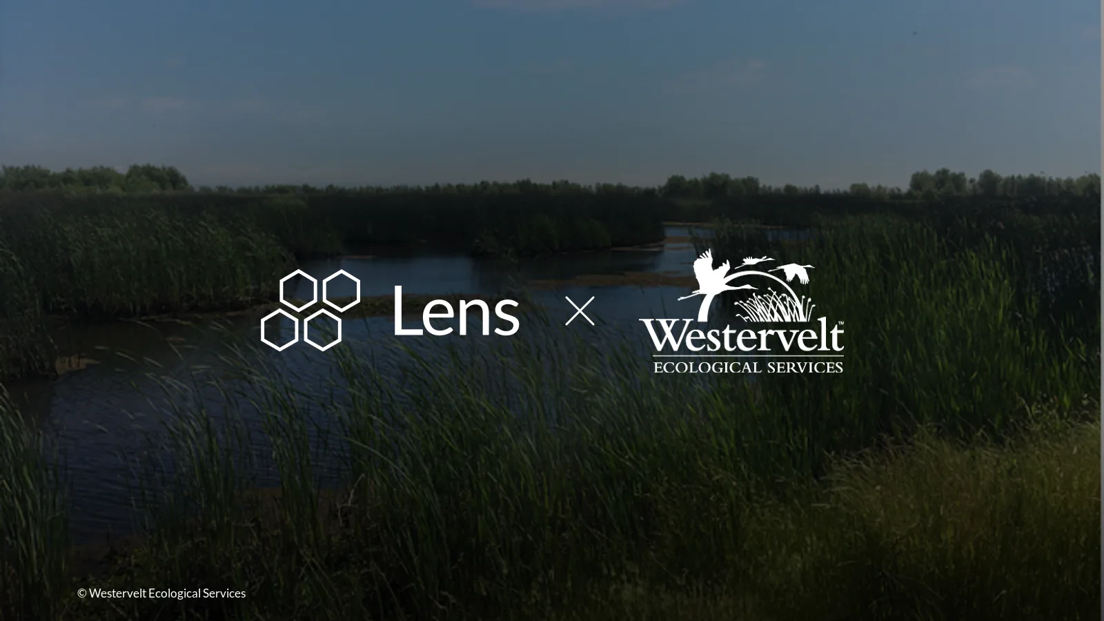 Scaling stewardship: Inside Westervelt's monitoring workflow with Lens
